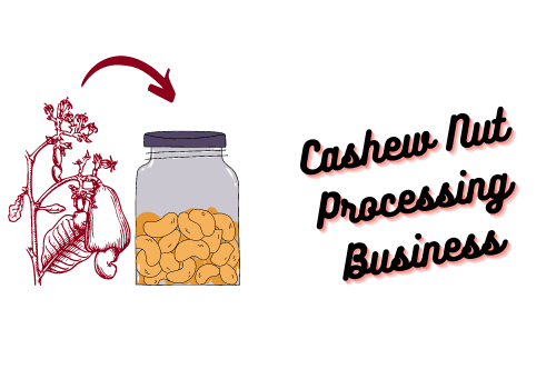 Cashew Nut Processing Business