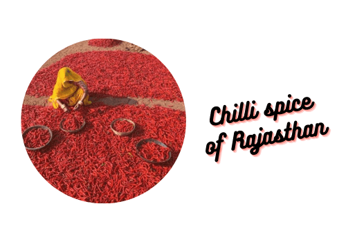 Chilli spice of Rajasthan