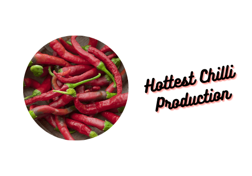 Hottest Chilli Production