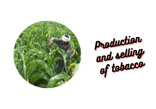 Production and selling of tobacco