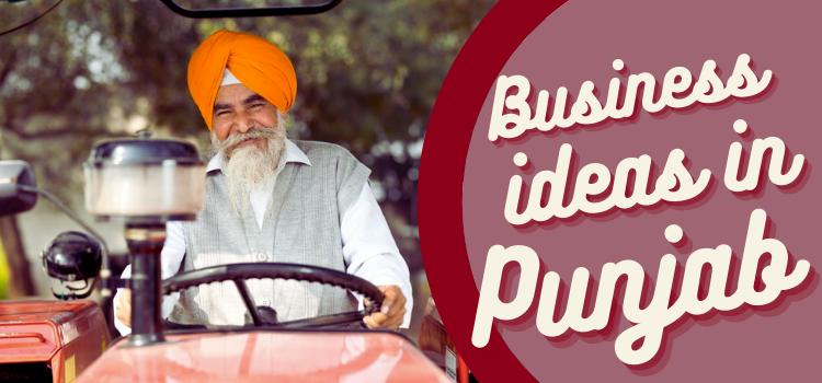 small business ideas in punjab