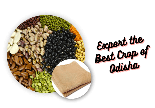 Export the Best Crop of Odisha