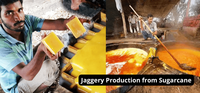 Jaggery Production from Sugarcane