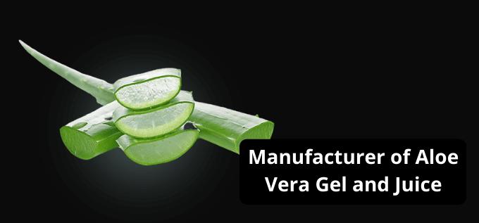 Manufacturer of Aloe Vera Gel and Juice