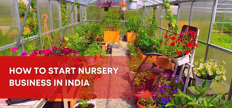 How to Start Nursery Business in India