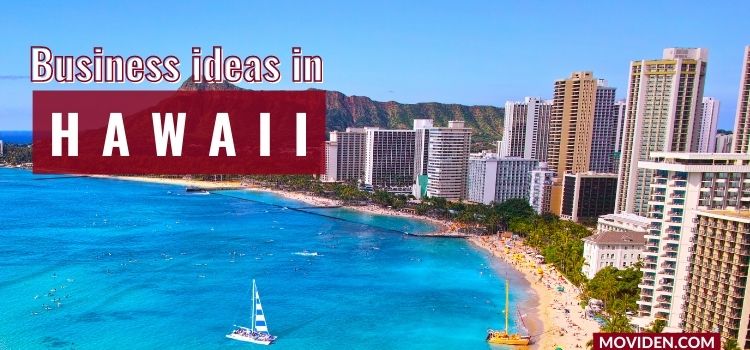 small business ideas in hawaii