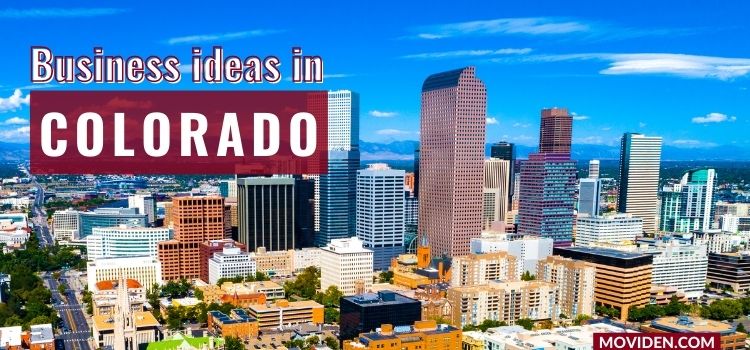 profitable business ideas in colorado