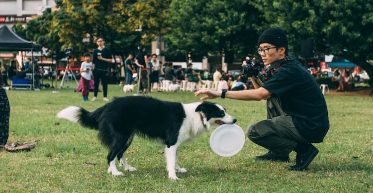 dog trainer business