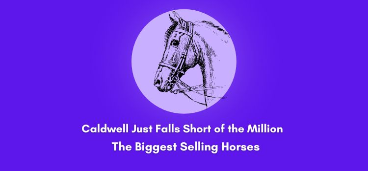 Caldwell Just Falls Short of the Million